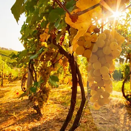 Hypercentre Aux Portes De Paris Et De La Champagne *